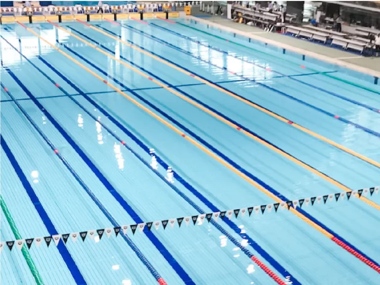 Learn The Basics Of Competitive Swimming at NewSwimmer.com's Swimming 101